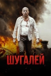 Постер Шугалей (Shugalei)