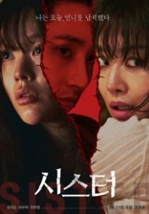 Постер Сестра (Siseuteo)