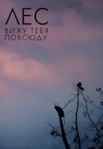 Постер Лес: Вижу тебя повсюду (Rengeteg - Mindenhol látlak)