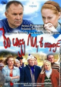 Постер Во саду ли, в огороде 