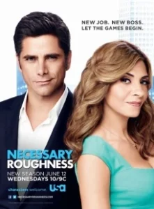 Постер Необходимая жестокость (Necessary Roughness)