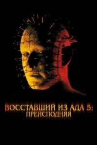Постер Восставший из ада 5: Преисподняя (Hellraiser: Inferno)