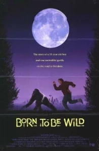 Постер Рожденная свободной (Born to Be Wild)