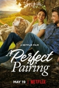 Постер Идеальное сочетание (The Perfect Pairing)
